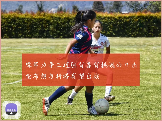 绿军力争三连胜背靠背挑战公牛杰伦布朗与科塔有望出战